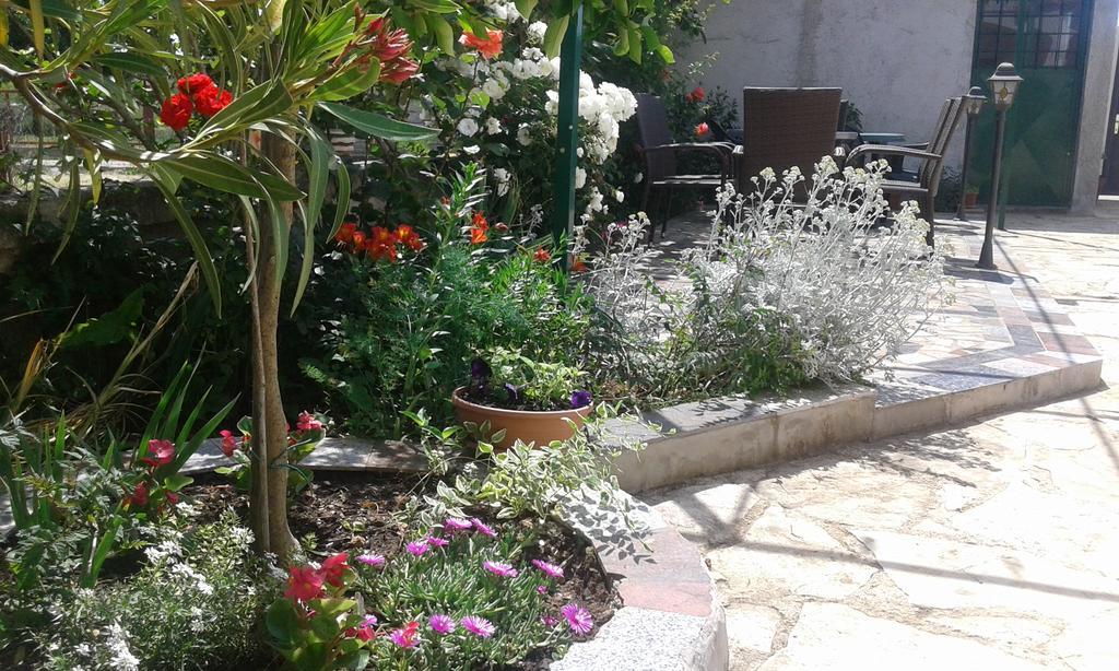 Apartments"Nika" With Private Pool Galovac  Exterior photo