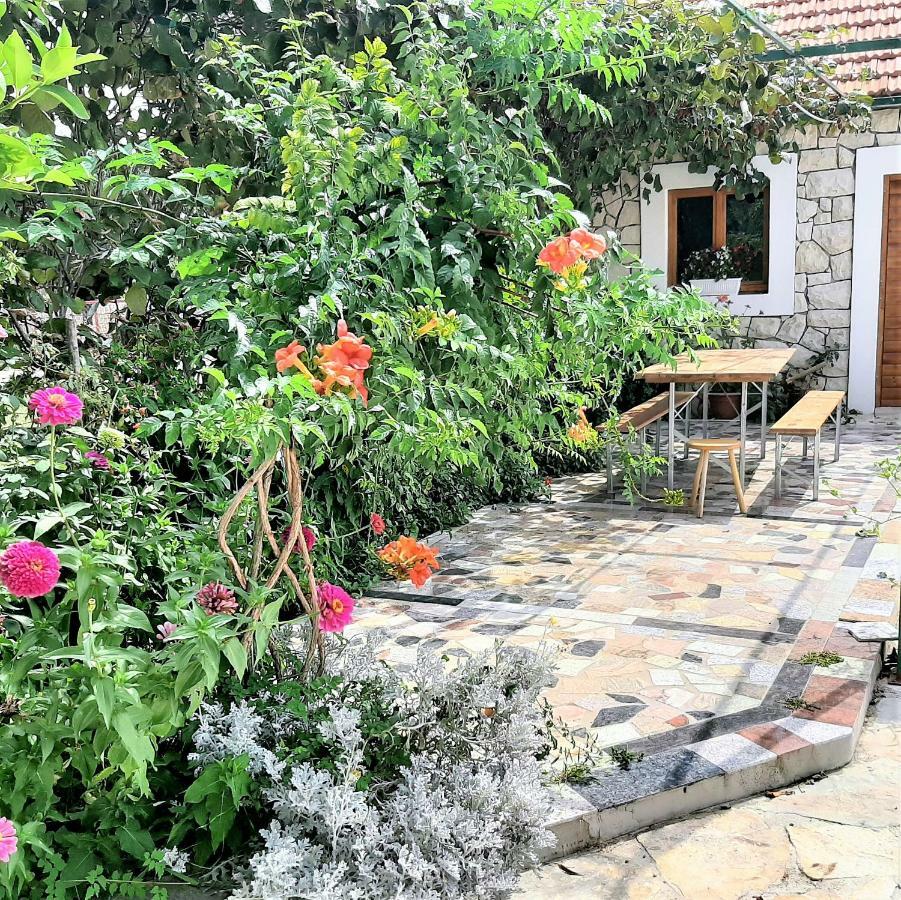 Apartments"Nika" With Private Pool Galovac  Exterior photo